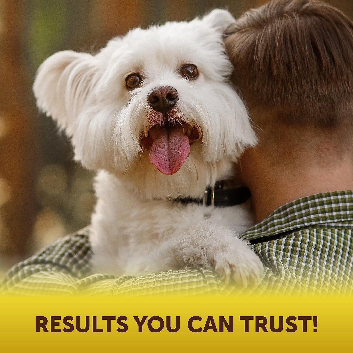 Scoot Stopper — Dog Anal Gland & Digestion Support Chews