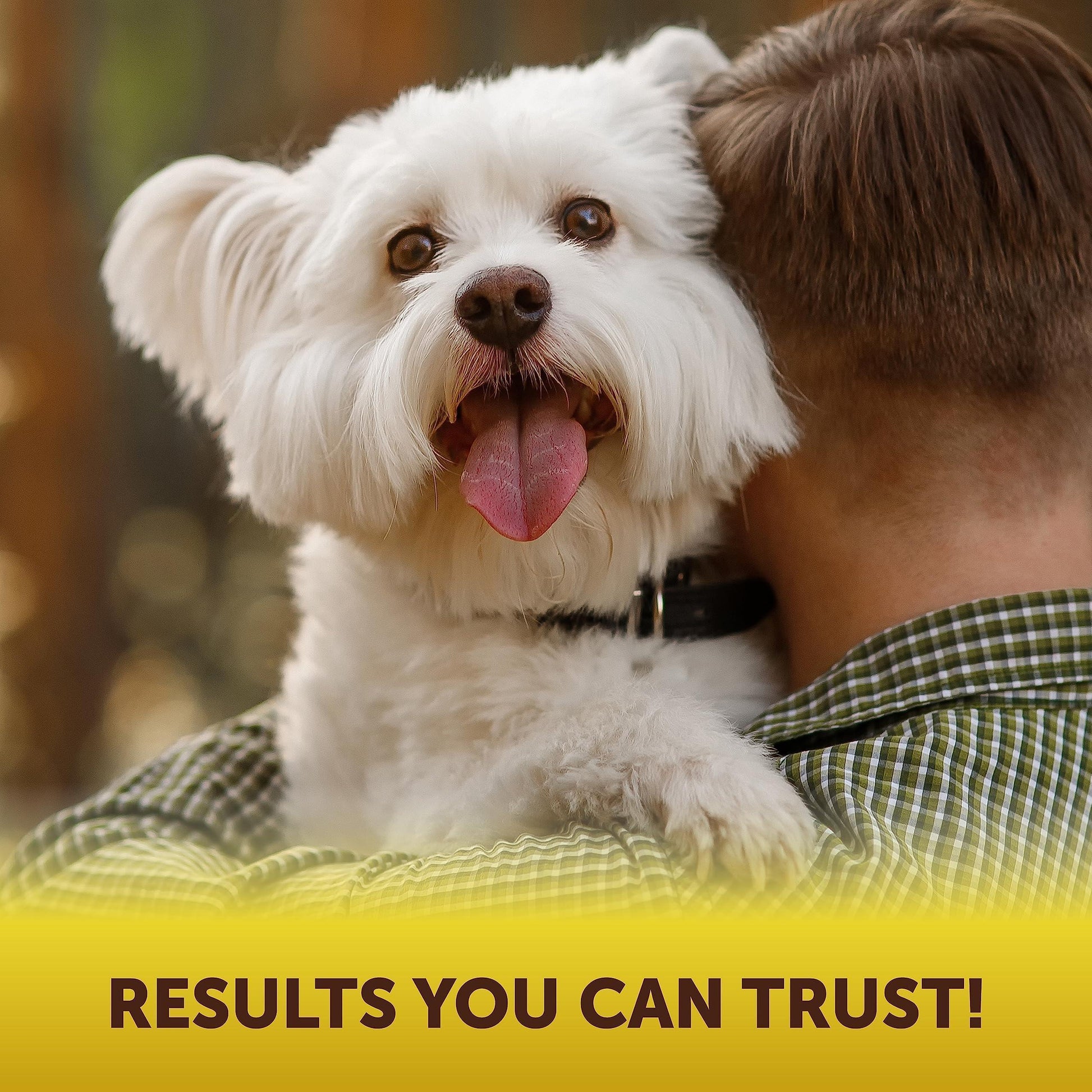 Scoot Stopper — Dog Anal Gland & Digestion Support Chews
